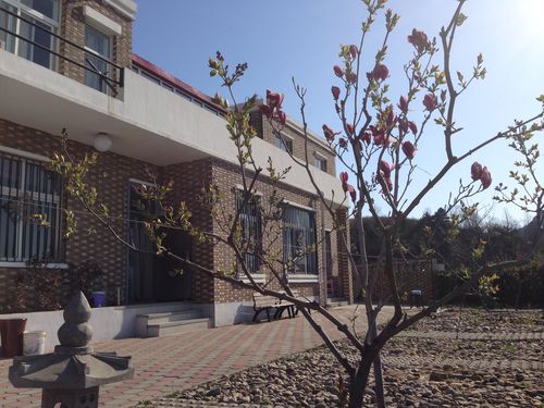 ɽׯͼƬ<br>����:����<br>����ʱ��:2014-05-20 21:03:20