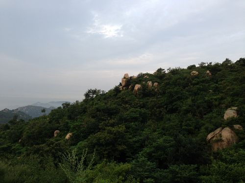 ɽׯͼƬ<br>����:����<br>����ʱ��:2014-05-20 21:08:06